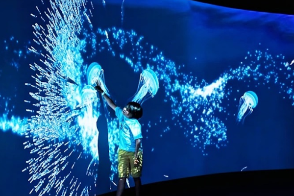 image_2025-12-31_132649339